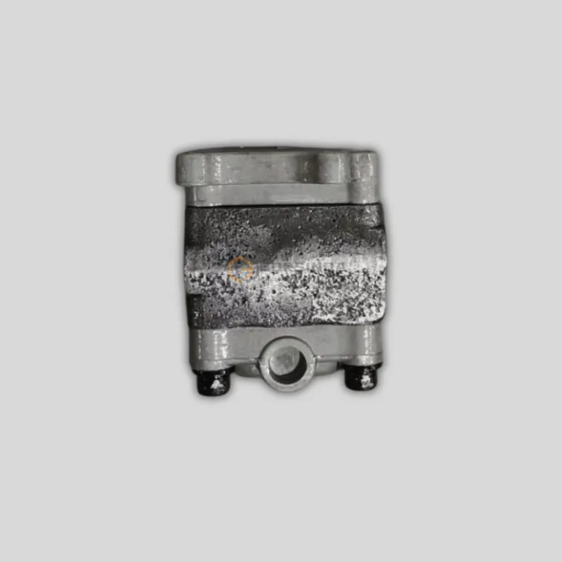 Hydraulic Main Pump